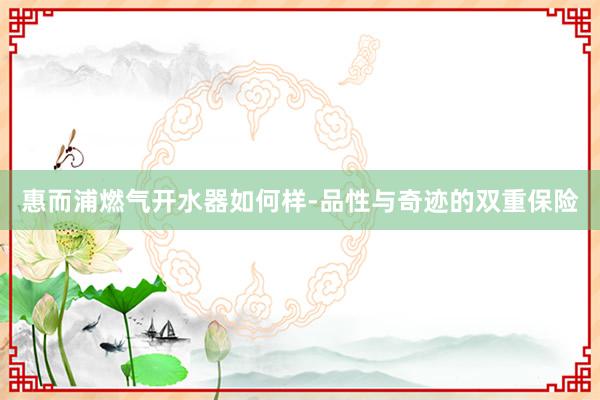 惠而浦燃气开水器如何样-品性与奇迹的双重保险